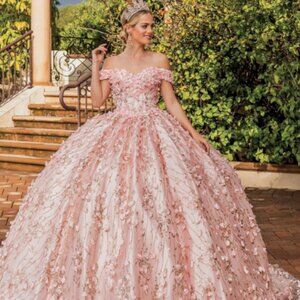 Sweet Sixteen Off the Shoulder Floral Applique Ballgown